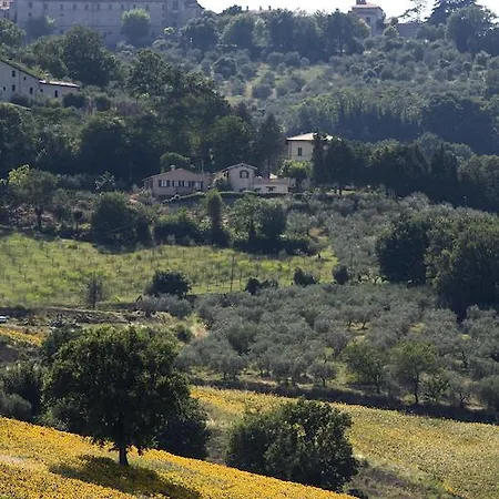 Il Girasole Montefalco