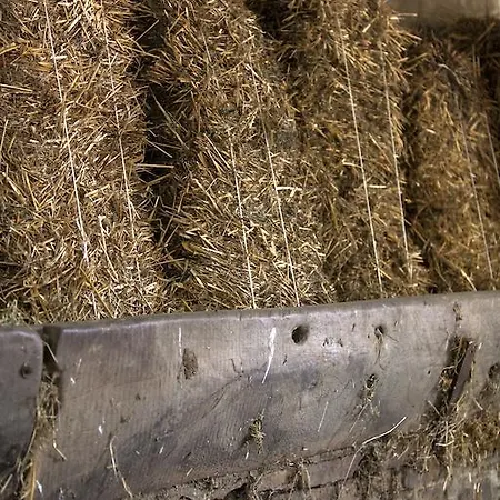 Vakantieboerderij Il Girasole Montefalco