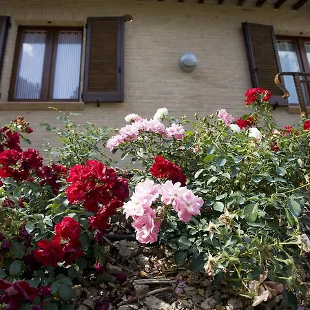 Il Girasole Montefalco