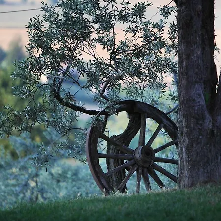 Il Girasole Montefalco