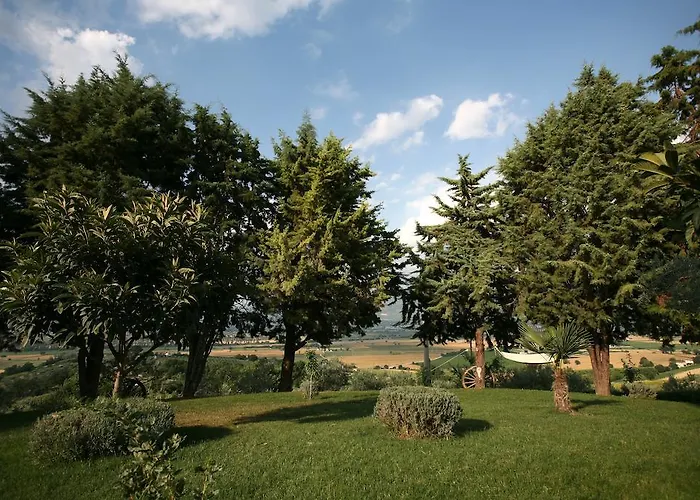 ファームステイ Il Girasole モンテファルコ