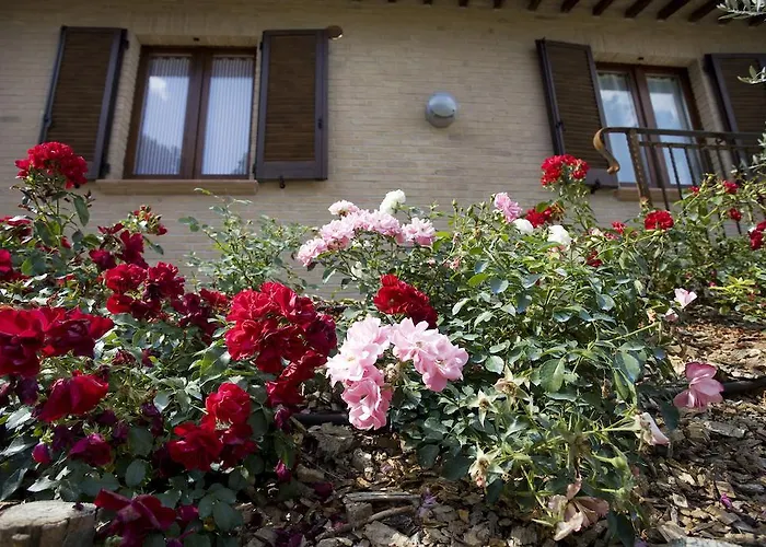 Il Girasole モンテファルコ