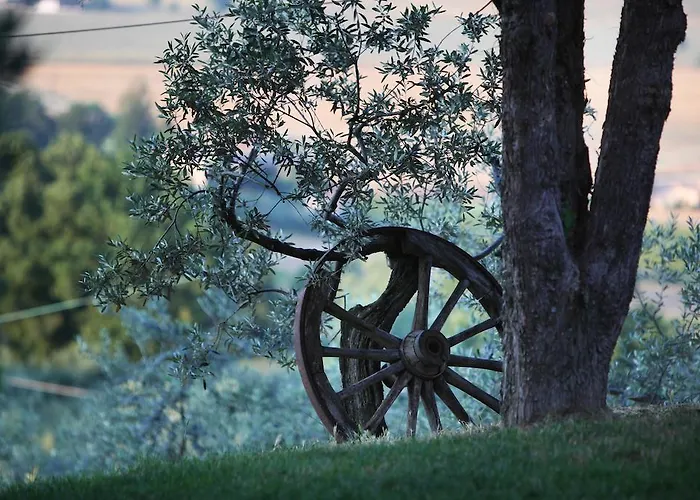 Il Girasole モンテファルコ