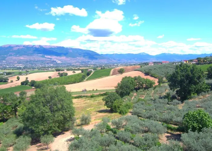 ファームステイ Il Girasole